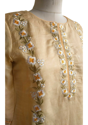 Handmade beige silk kurta by Ashir Studio showcasing elegant traditional clothing with intricate silk fabric detailing.